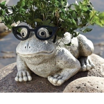 FUNKY TOAD COMMUNITY