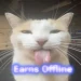 [New!] Steal a Goobercat icon