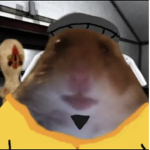 Kenny ligarandy server