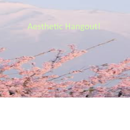 Aesthetic Hangout!