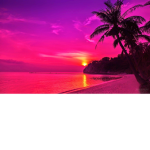 Super awesome roblox