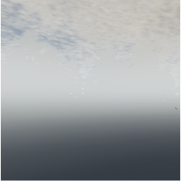 Hidden Forest