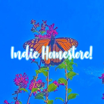 Indie Homestore!