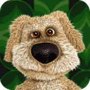 ASK TALKING BEN (NEW UPDATE)