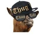 The True Goats 2.0