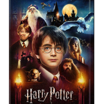 - harry potter group -