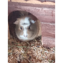 Spaß mit Freunden=)