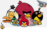 Angry bird fan club cult
