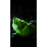 green wolf army