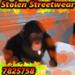 [-] Stolen Streetwear [-]