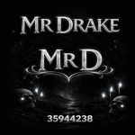DarkNinjaWairror