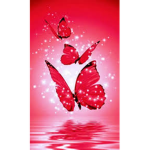 * BUTTERFLY *