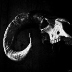 Horror clothing group