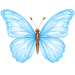 Sociall Butterflies