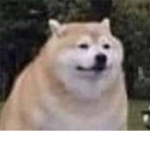 xxXNoobs