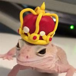 Lizards Studio