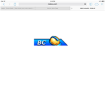 The BC Onlys Group