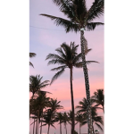 Sun and you