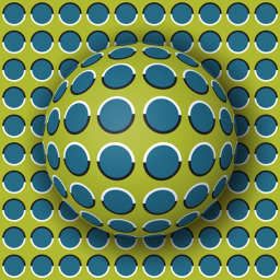 Optical Illusions