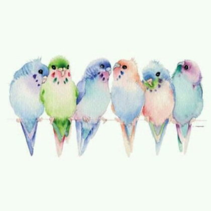 rainbow birds|kawaii|pastel Roblox decal