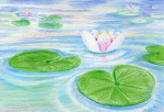 Lily pad 123