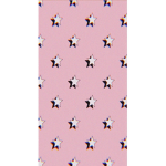 The Star Shine