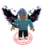 Roblox NinjaSha_dow fan group!