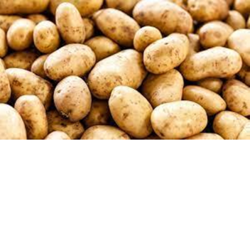 Giant Potato With Ray gun