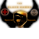 The Black Hawks Special Force Squad