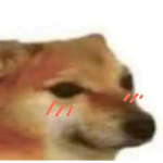 ʙᴇᴇs&ʜᴏɴᴇʏ