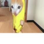 バナナ猫は好きかい？