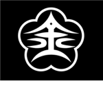 Ninja Assassin League Academy