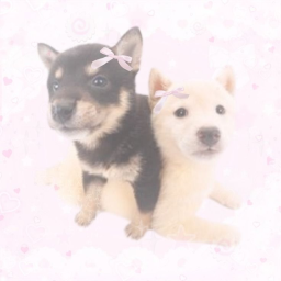 (๑ > ᴗ < ๑)