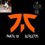 Team_FNATIC