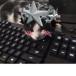 Nova's wold