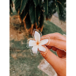 Palm Vibez