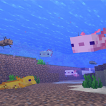 Axolotl time