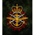 Canadian Army (Roleplay)