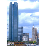 The Business Tower
