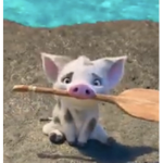 Jayjayoscott