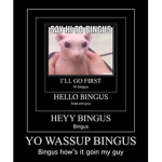 BINGUS RAIDERS