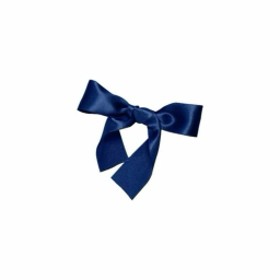 ♡˚ 💙・