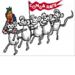 conga rats