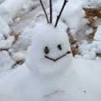 there once was a baby builder