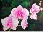 ~the blooming flowers~
