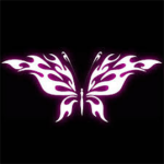 Cosmic Angelxs
