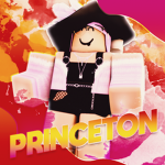 Princeton School District