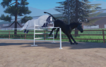 {~Northern Lights Horse Camp!~}