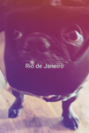 roux for sister