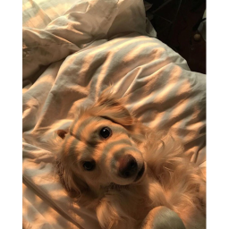 :]